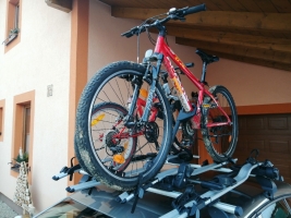 05564747-img-20210110-155555.jpeg