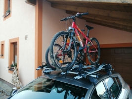 46506c16-img-20210110-155546.jpeg