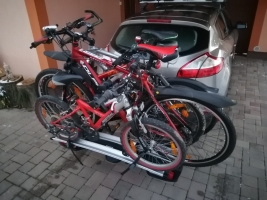 53b88311-img-20210110-165051.jpeg